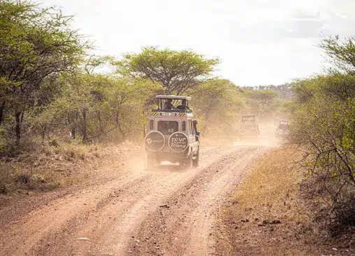 明るい空の下、アカシアの木々に囲まれたアフリカのサバンナの埃っぽい道を走るサファリジープ。.