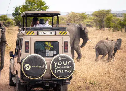 Een safarijeep met toeristen die olifanten observeren in het Serengeti National Park in Tanzania, een demonstratie van een avontuurlijke wildsafari.