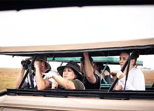 乘坐敞篷车的游客在草地稀树草原景观中用望远镜观察野生动物。.