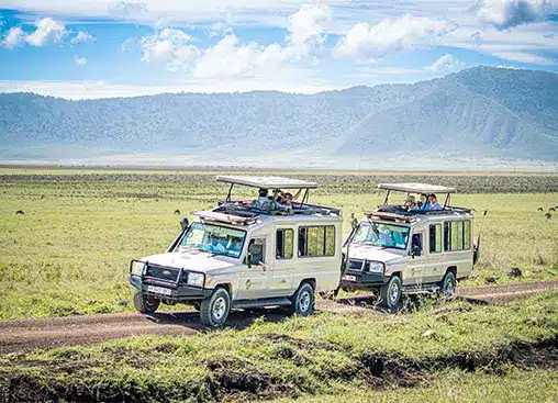 两辆越野车行驶在广袤的草地上,远处是连绵的群山,天空湛蓝。.