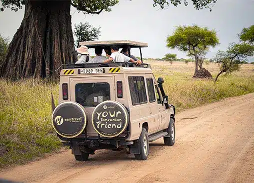 Джип для сафари на грунтовой дороге в Танзании: туристы наблюдают за дикой природой в окружении деревьев и саванны.