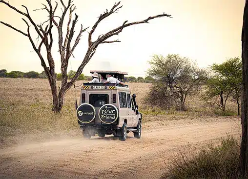 Jeep da safari che percorre strade polverose nella savana, circondate da alberi secchi e praterie, con turisti che osservano la fauna selvatica.