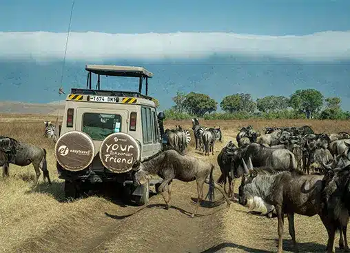 Safari-Jeep inmitten von Gnus und Zebras in der afrikanischen Savanne – ein Erlebnis für Wildtier- und Abenteuerreisende.