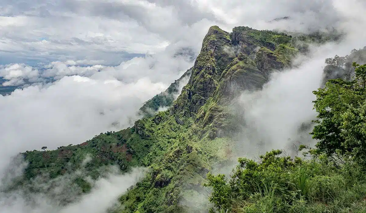 Mountainous landscape shrouded in mist, lush greenery, and dramatic cliffs in Tanzania's Eastern Circuit.