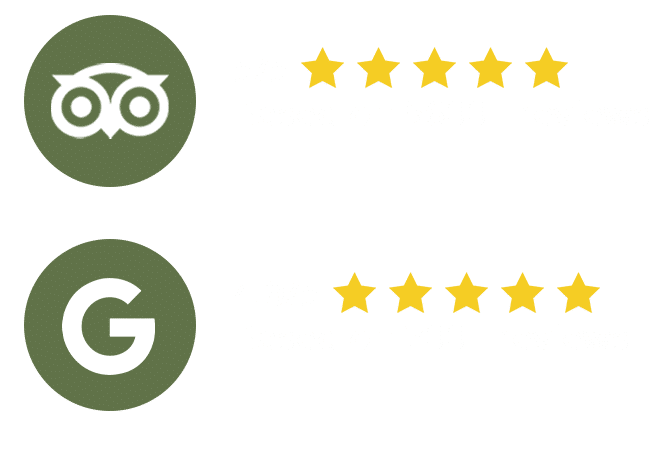 Review - Easy Travel Footer - Google Review and Tripadvisor Review