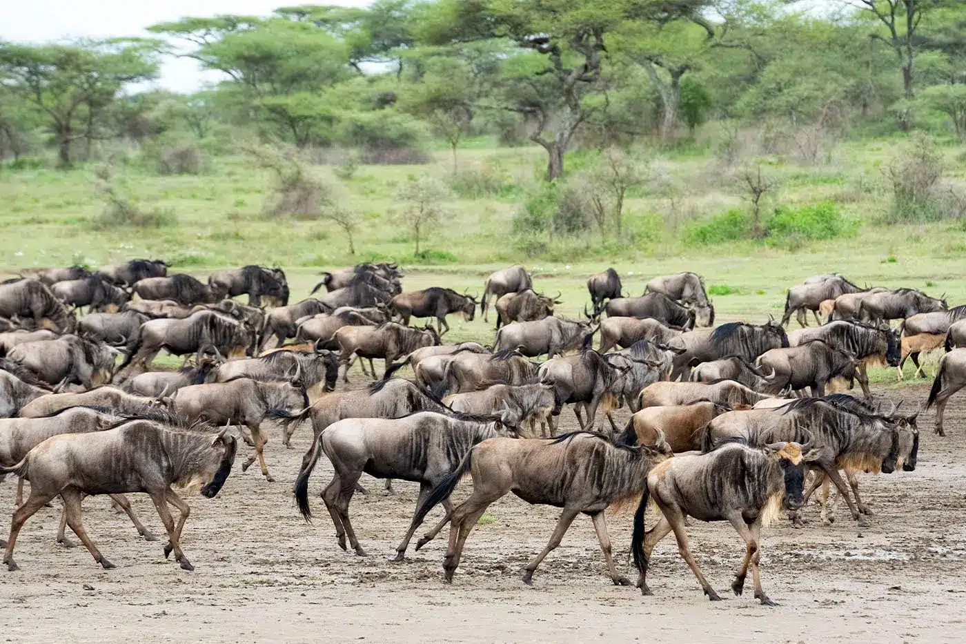 顶部横幅 2.jpg 1