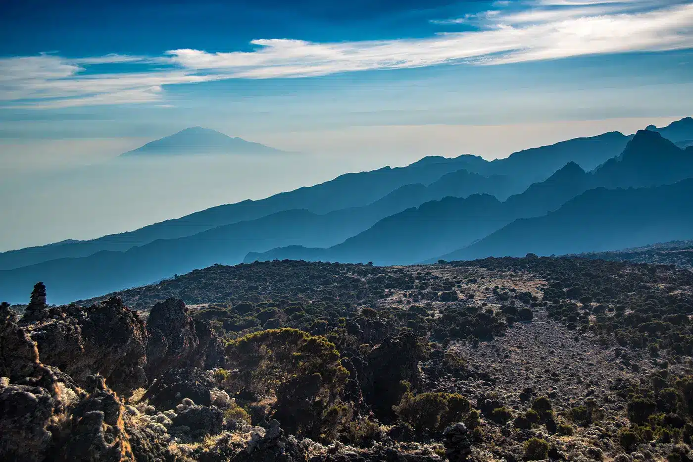 Top Banner 2025 01 10T182725.893.jpg 1