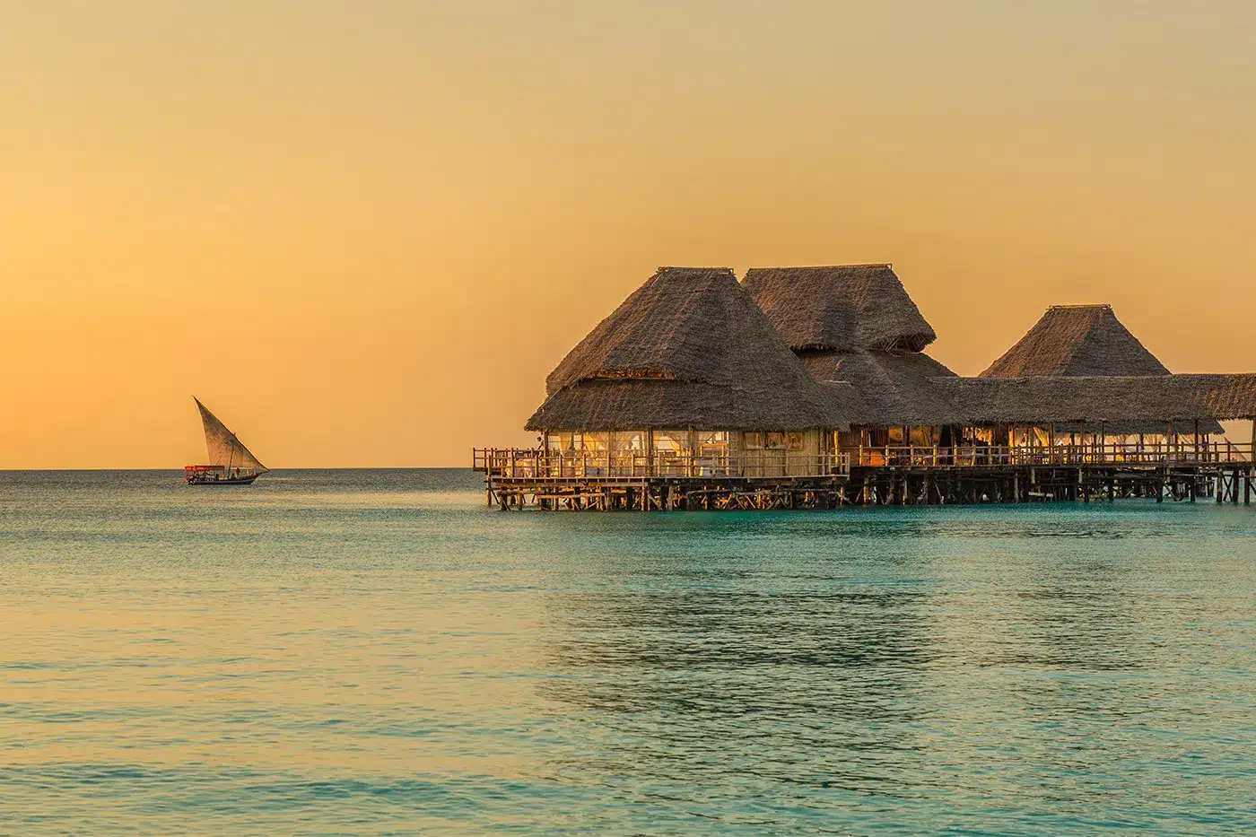 Top Banner 2025 01 13T120252.312.jpg