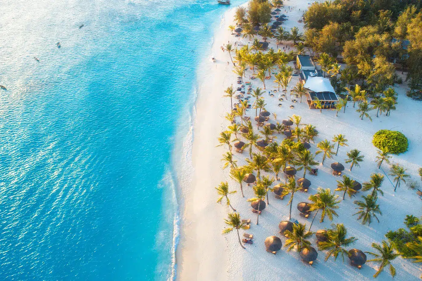 顶部横幅 2025 01 13T132012.459.jpg