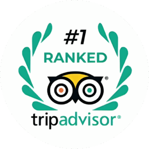Tripadvisor徽章，带有猫头鹰标志、绿色月桂花环和"#1 Ranked"字样，表示获得最高排名。.