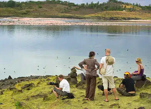 豊かな緑と遠くの丘に囲まれた湖畔で、フラミンゴの群れを観察している人々のグループ。.