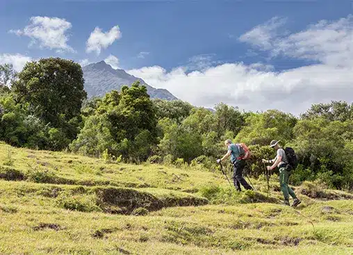 Twee wandelaars met rugzakken trekken door een weelderig groen landschap met een berg op de achtergrond onder een blauwe hemel.