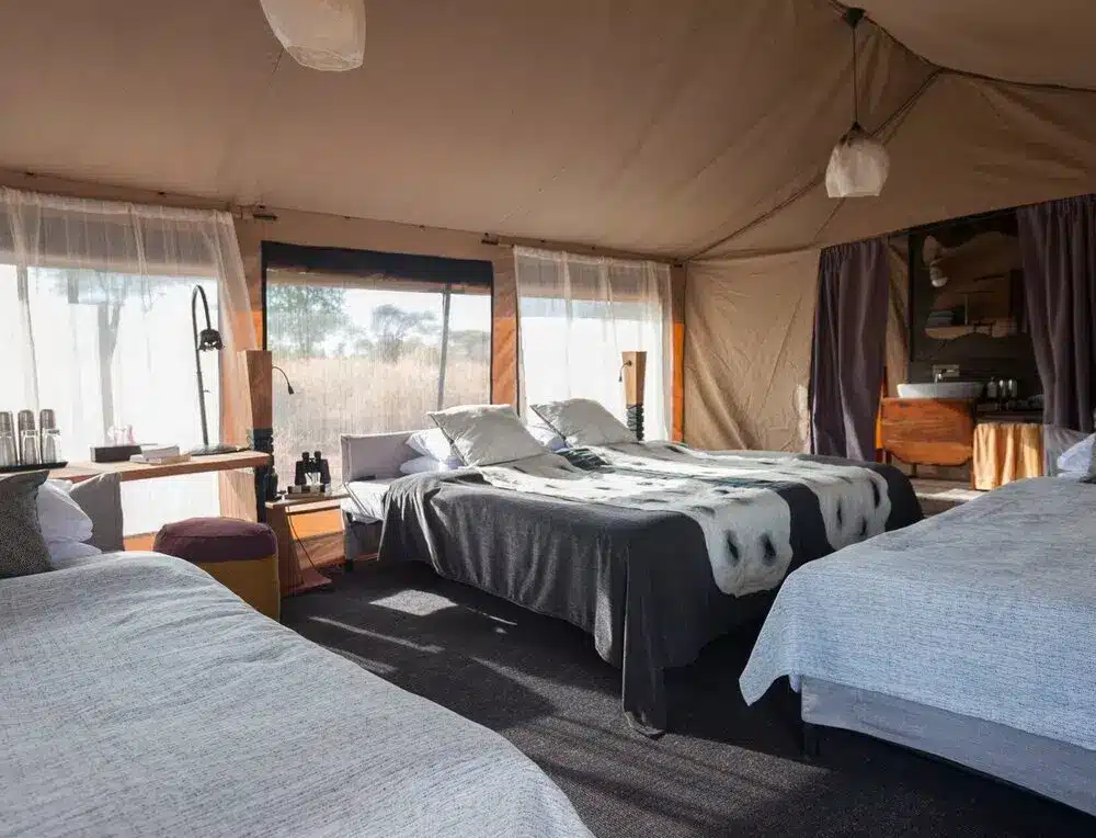 Habitación de tienda de campaña de lujo en el campamento Kichuguu con tres camas, luz natural y comodidades modernas, que ofrece una acogedora experiencia de safari.