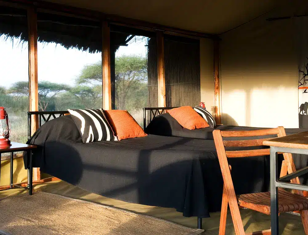 舒适的狩猎帐篷客房，配有两张单人床、斑马纹枕头、木椅，透过宽大的窗户可欣赏非洲大草原的景色…….