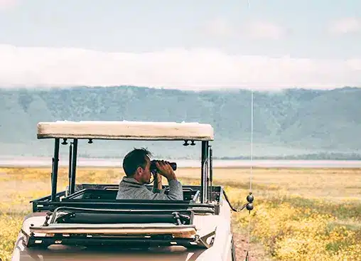 Man i safarifordon använder kikare för att se landskap med gula blommor och avlägsna kullar under en molnig himmel.