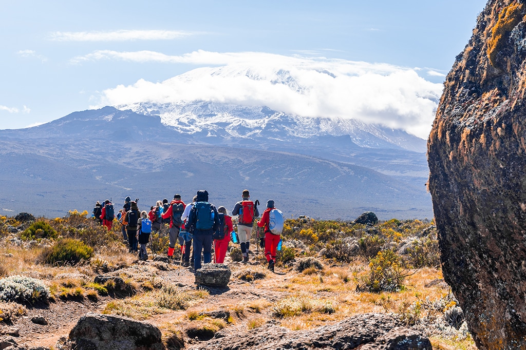 A group of tourist hikers climbing Mount Kilimanjaro, Tanzania
