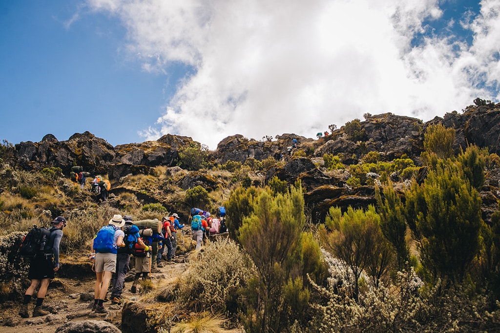 Eine Gruppe von Touristen wandert auf den Pfaden des Kilimandscharo