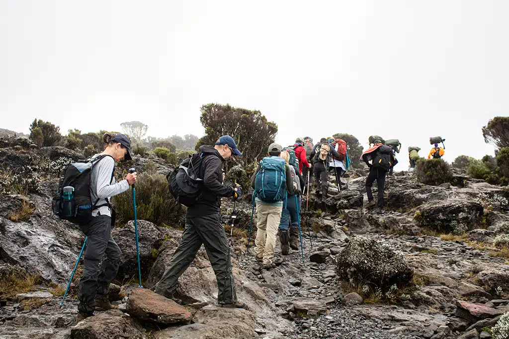 Een groep toeristen wandelt naar Uhuru Peak met de bemanning van Easy Travel Tanzania.jpg