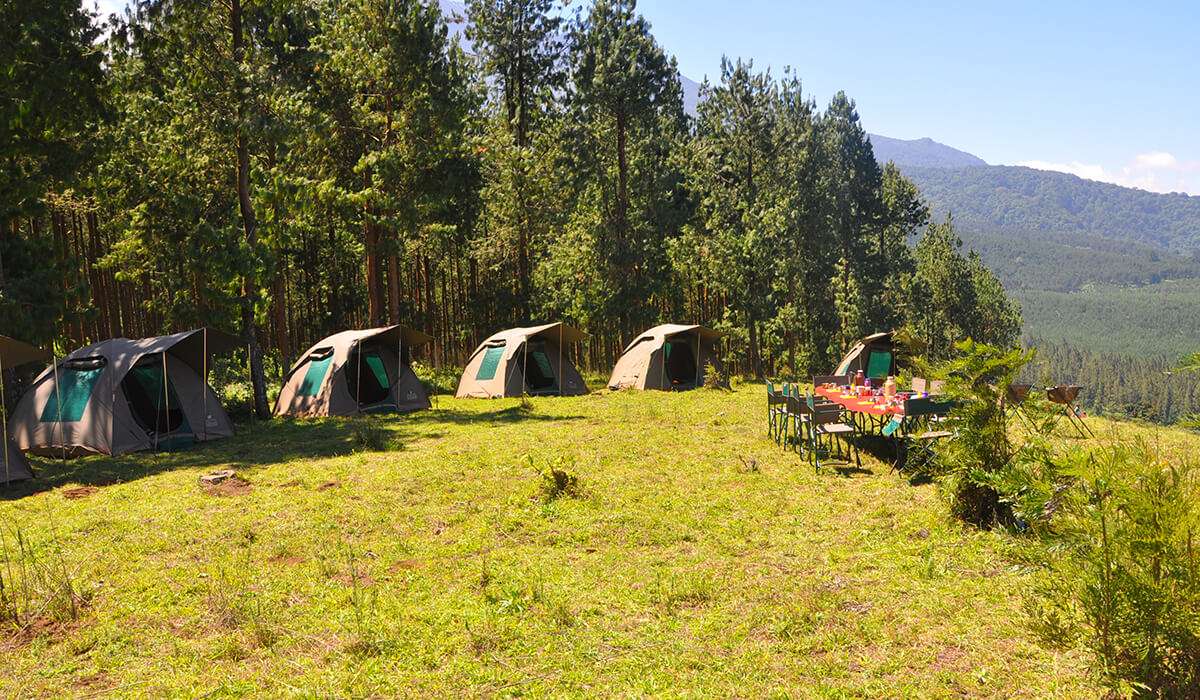 Basic Accommodation Style