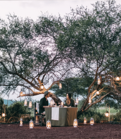 タランギーレ・トルティリス・キャンプでのブッシュディナー イージートラベルタンザニア 2 1