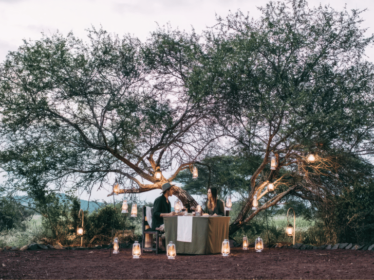 タランギーレ・トルティリス・キャンプでのブッシュディナー イージートラベル・タンザニア 2