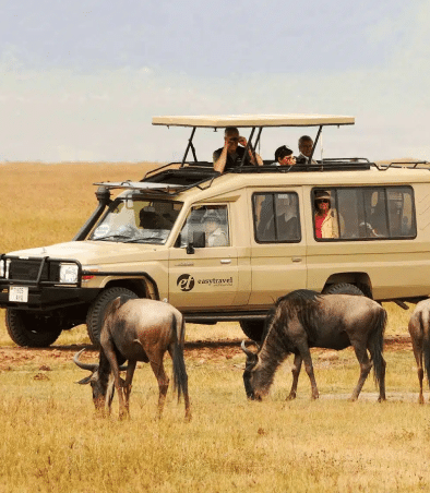 Safari in der Serengeti Easy Travel Tanzania 1