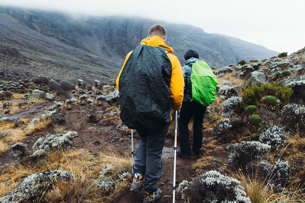 Hikers accompanied by a mountain crew hiking down Mount Kilimanjaro