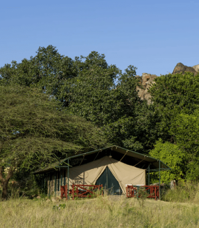 セレンゲティ国立公園のMbuzi Mawe Serenaテントキャンプ Easy Travel Tanzania.jpg.psd 1