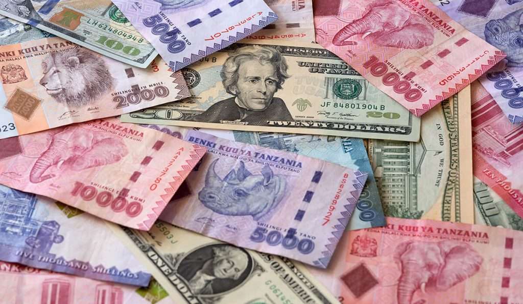 タンザニア・シリング紙幣と米ドル紙幣が散らばり、タンザニアのサファリの興奮を彷彿とさせます。タンザニア紙幣にはライオン、ゾウ、サイといった野生動物が描かれ、20ドル紙幣にはアンドリュー・ジャクソンの肖像が描かれています。 - タンザニアの簡単旅行