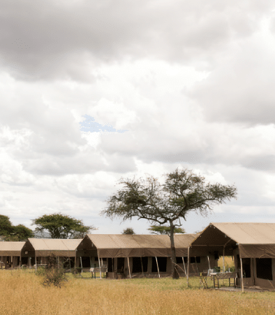 セレンゲティ カティ カティ テント キャンプ (セレンゲティ Easy Travel タンザニア 1)