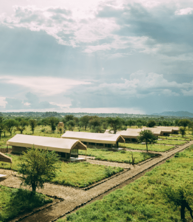 セレンゲティ国立公園のセレンゲティ・トルティリス・キャンプ イージー・トラベル・タンザニア 1