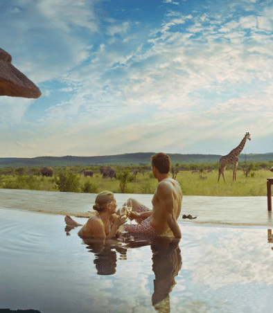 Swimming pool with wildlife view Easy Travel Tanzania 1