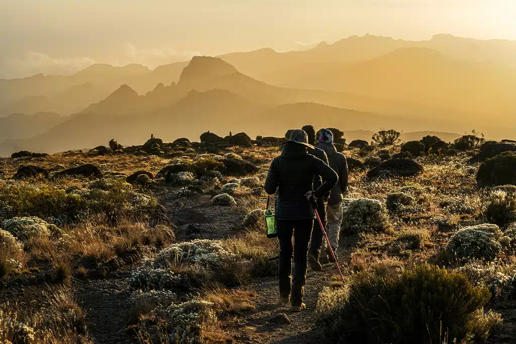 Toeristenwandelaars trekken op een zomermorgen door de paden van de Kilimanjaro