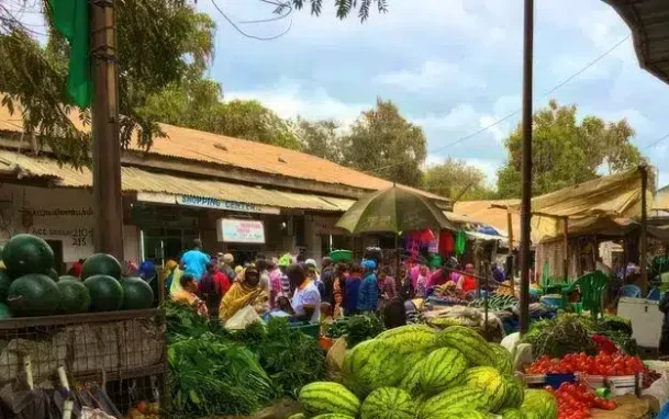 参观坦桑尼亚姆托瓦姆布的当地市场 Easy Travel Tanzania result.jpg e1763818411134 参观坦桑尼亚姆托瓦姆布的当地市场 Easy Travel Tanzania result.jpg e1763818411134