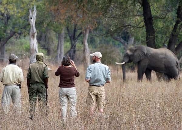 徒步旅行安全图片
