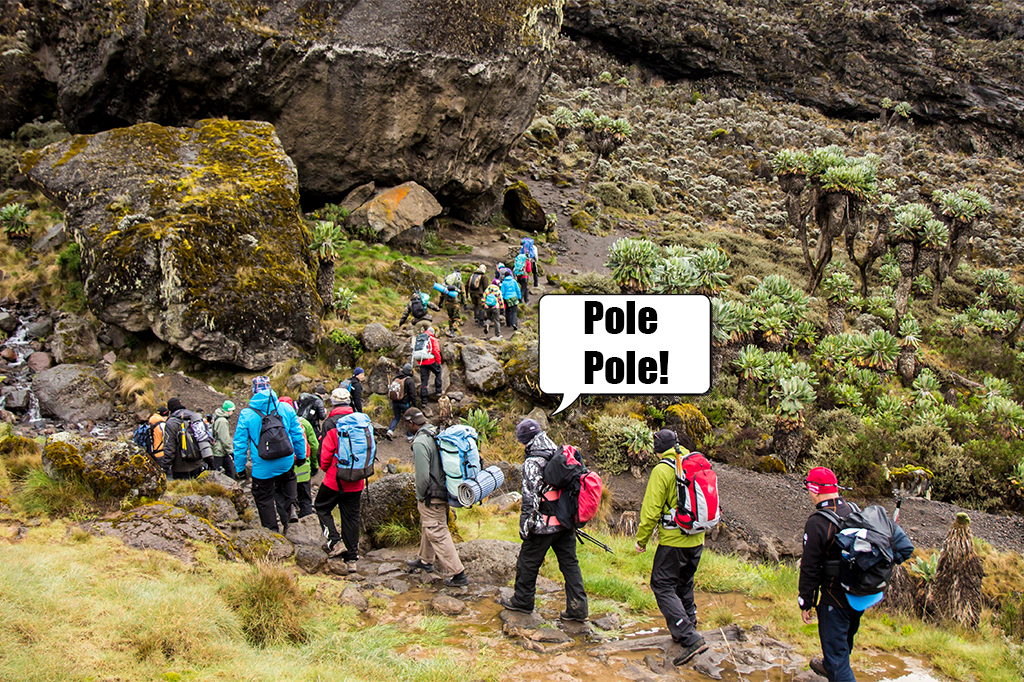 A group of hikers hiking through the trails of Mount Kilimanjaro Tanzania 1 A group of hikers hiking through the trails of Mount Kilimanjaro Tanzania 1