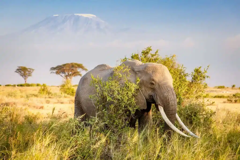 when southren 2.jpg when southren 2.jpg