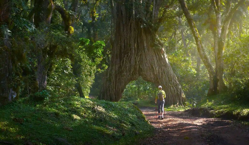 куда пойти национальный парк Аруша 1024x597 1