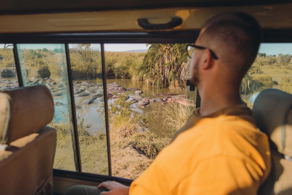 一名独自旅行的男性游客在坦桑尼亚塞伦盖蒂国家公园的河马池中观赏河马