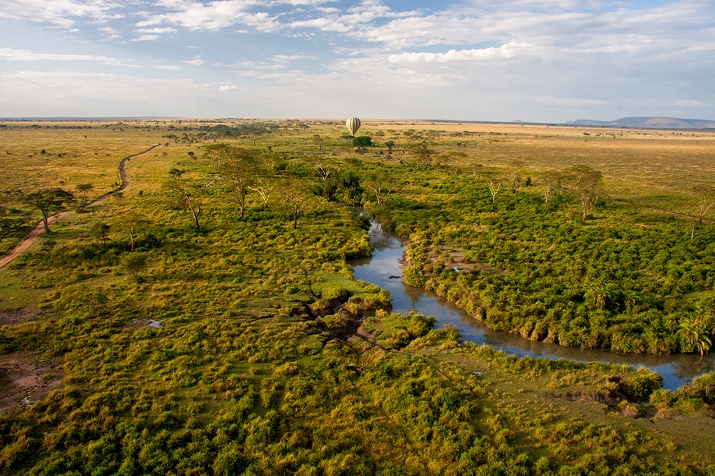 Aerial view of Serengeti National Park, Tanzania in December