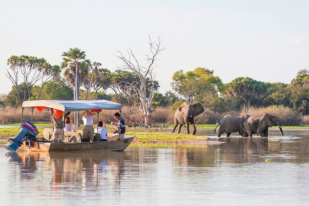Boat safari on the Nyerere River at Nyerere National Park, Tanzania