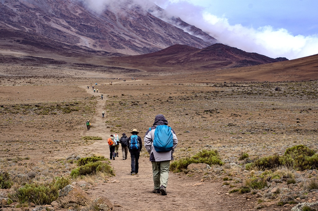 Hikers trekking the trails of Mount Kilimanjaro, Tanzania
