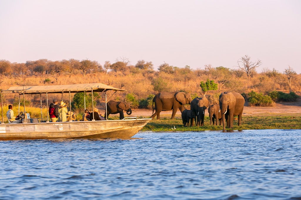 Boat safari at Nyerere National Park, Tanzania