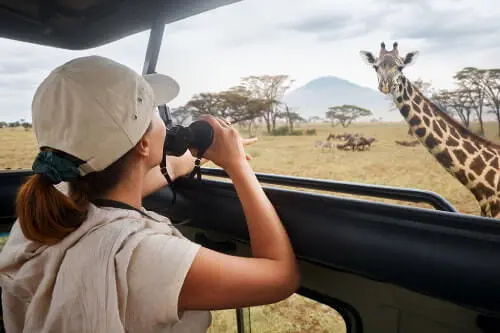 Game drive at Mikumi National Park, Tanzania