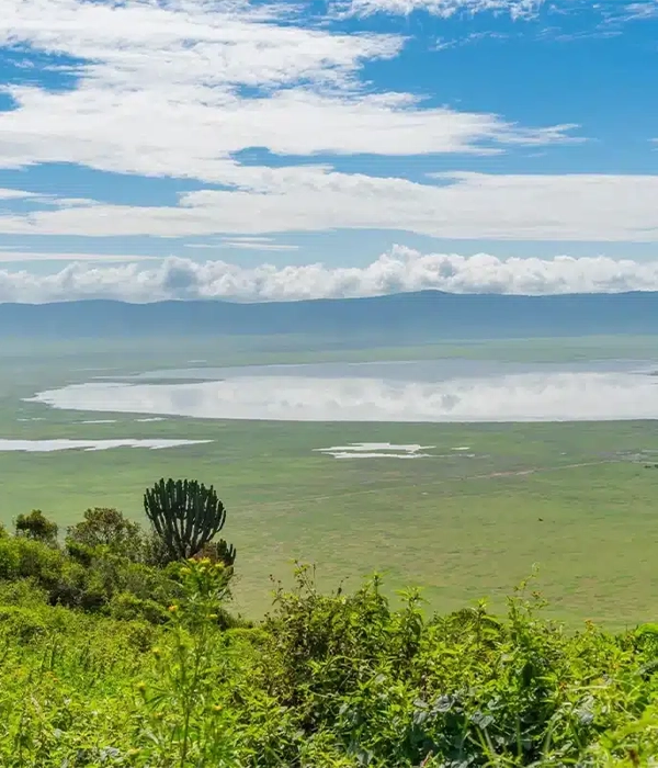 A high-angle view looking down into the lush Ngorongoro Crater, showing a shallow, reflective soda lake surrounded by green plains.