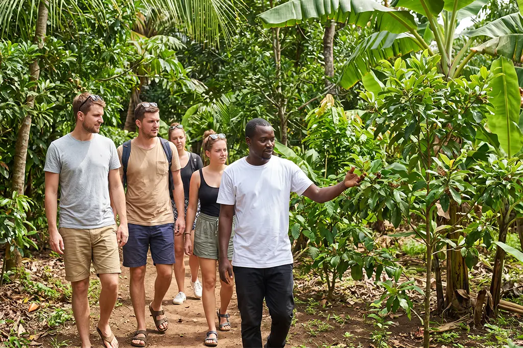 Guide and tourist on a Zanzibar spice tour Guide and tourist on a Zanzibar spice tour