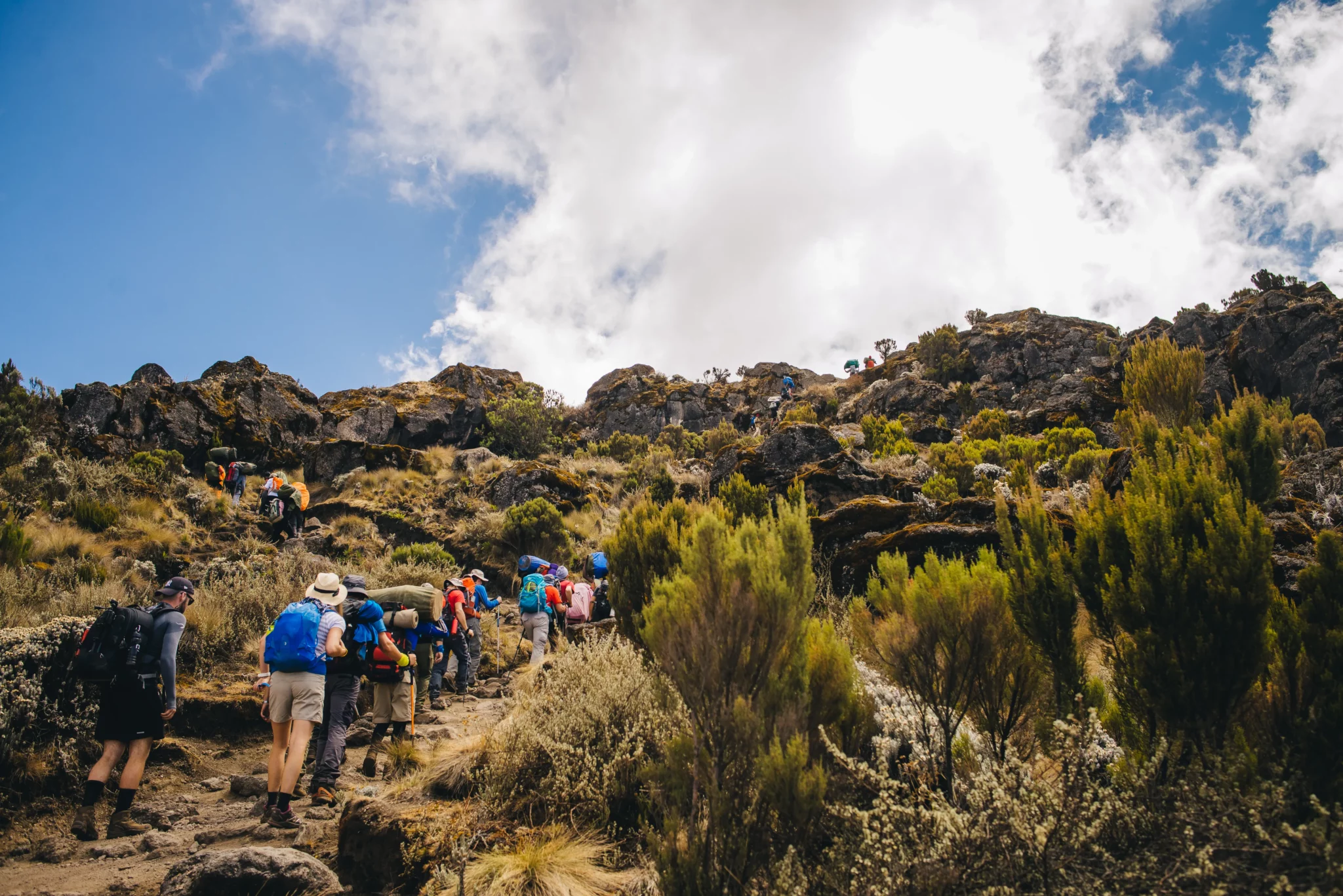 Hiking Through the Kilimanjaro Trails – Easy Travel Tanzania scaled Hikers ascending the rocky slopes of Mount Kilimanjaro.