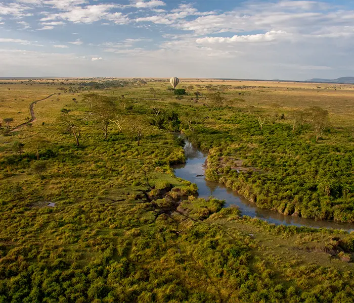 热气球飞越广袤稀树草原上蜿蜒的河流 热气球飞越广袤稀树草原上蜿蜒的河流。.