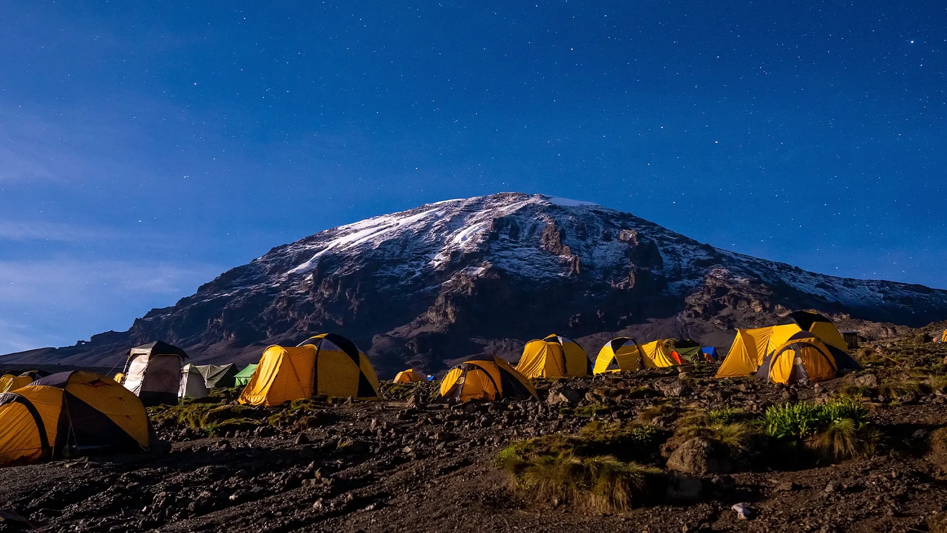 Yellow tents sit below Mount Kilimanjaro under a starry night sky.