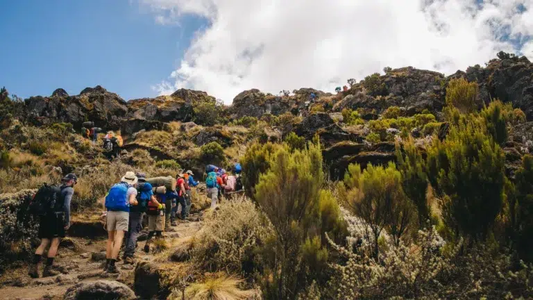 Itinerario Lemosho Kilimanjaro (trekking di 7 giorni + 2 notti ad Arusha)